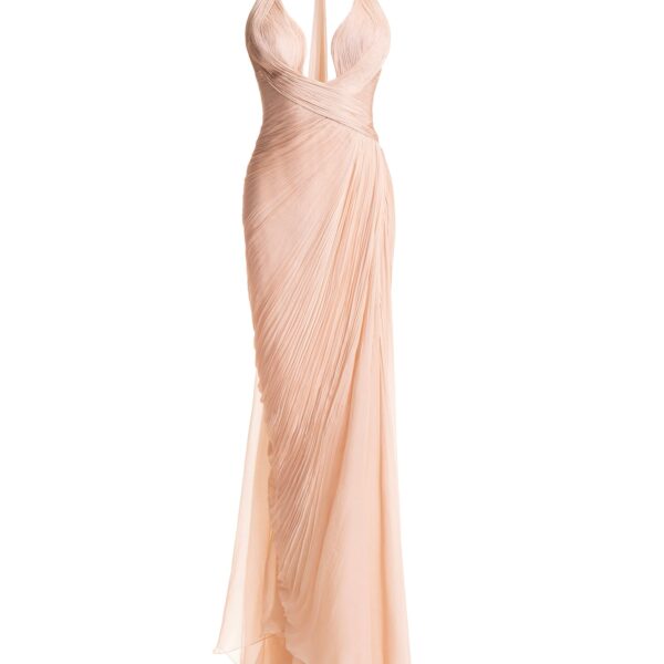 Maria Lucia Hohan gown