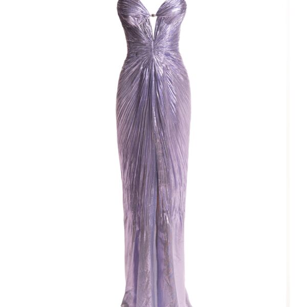 Maria Lucia Hohan gown