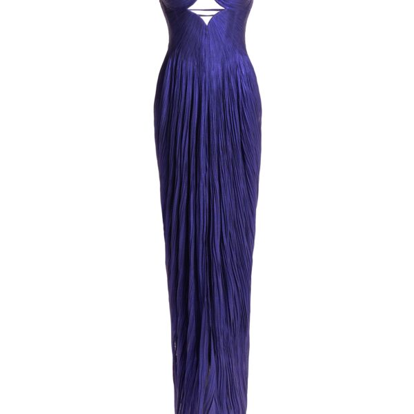 Maria Lucia Hohan gown