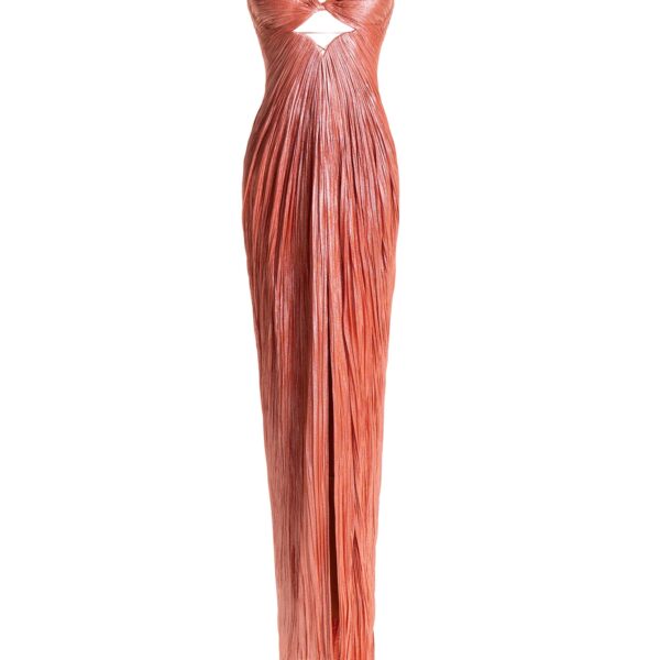 Maria Lucia Hohan gown