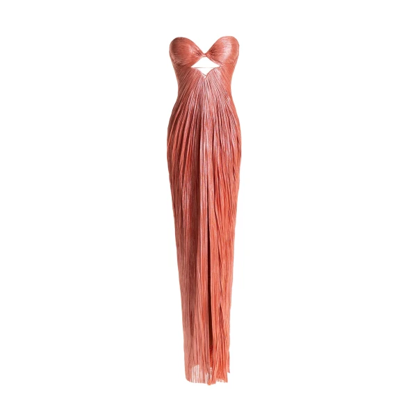 Maria Lucia Hohan gown
