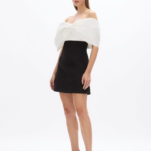 Rachel Gilbert Kace Mini Dress - Rachel Gilbert Black - Australian Luxury Evening Wear at Coveti