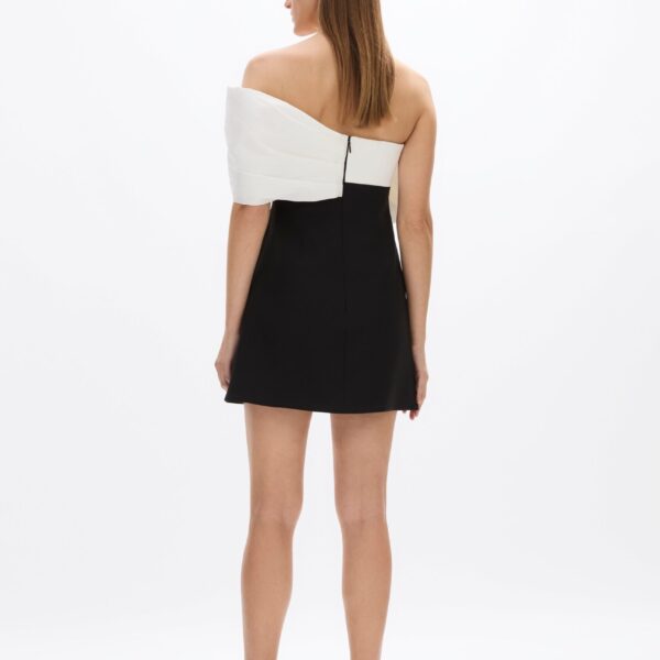 Rachel Gilbert Kace Mini Dress - Rachel Gilbert Black - Australian Luxury Evening Wear at Coveti