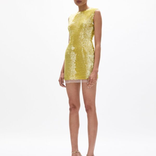 Rachel Gilbert Kaia Mini Dress - Rachel Gilbert Green - Australian Luxury Evening Wear at Coveti