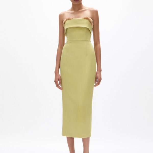Rachel Gilbert Laira Corset Dress - Rachel Gilbert Green - Australian Luxury Evening Wear at Coveti
