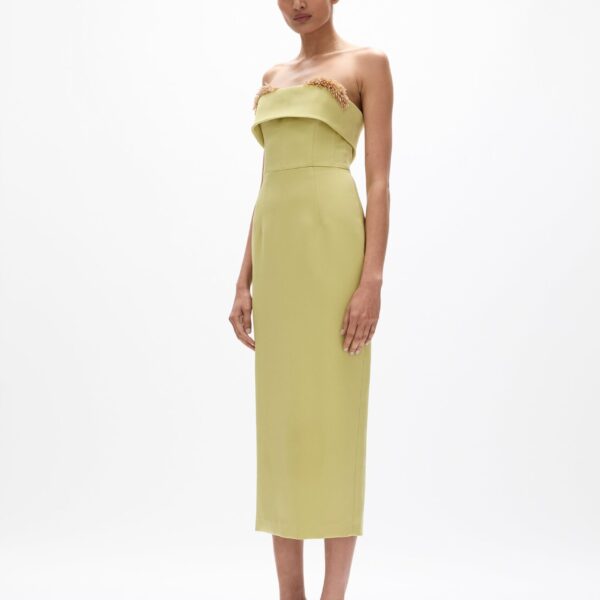 Rachel Gilbert Laira Corset Dress - Rachel Gilbert Green - Australian Luxury Evening Wear at Coveti