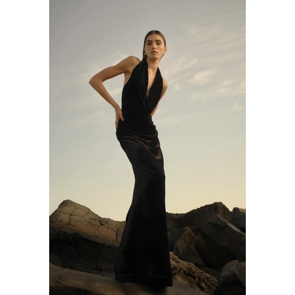 Rachel Gilbert Martin Plunge Gown, view 3