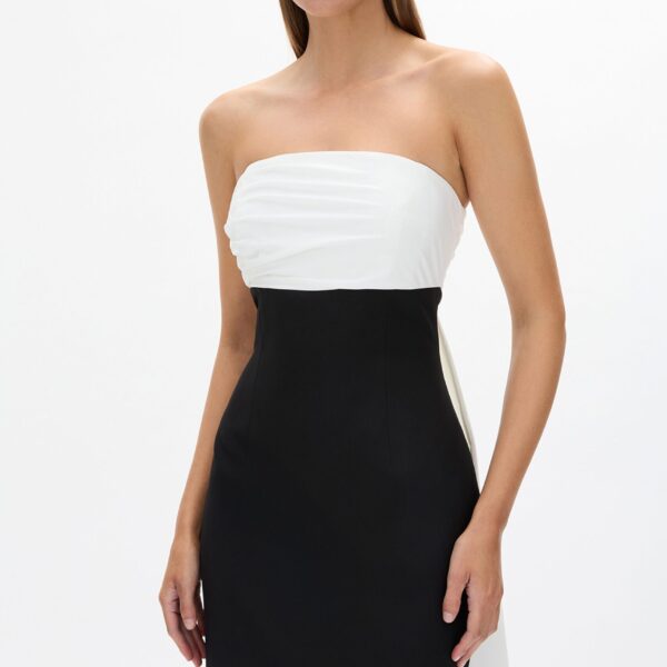 Rachel Gilbert Odette Gown - Rachel Gilbert Black - Australian Luxury Evening Wear at Coveti