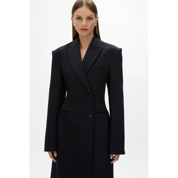 Rachel Gilbert Sergio Coat, view 3