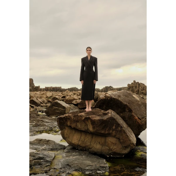 Rachel Gilbert Sergio Coat, view 7