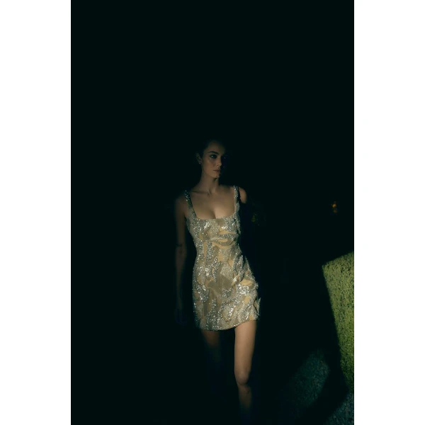 Rachel Gilbert Toulouse Mini Dress, view 6