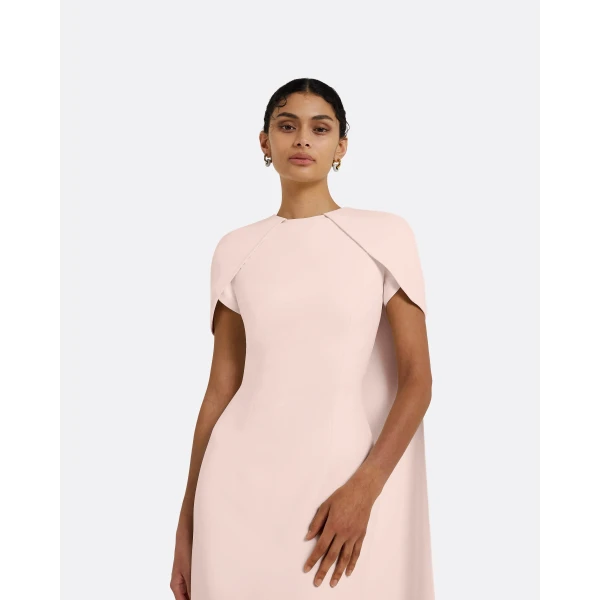 Safiyaa Ginkgo Long Dress in Pale Pink, view 4