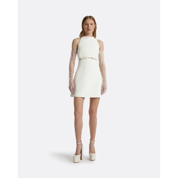 Safiyaa Jalie Ivory Mini Dress, view 2