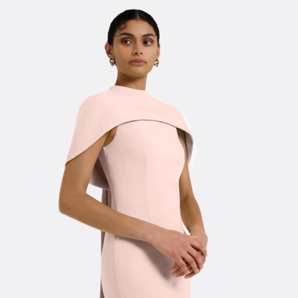 Safiyaa Kalika Long Dress in Pale Pink - Safiyaa Dresses - Heavy Crepe Cape Gown - Shop at Coveti