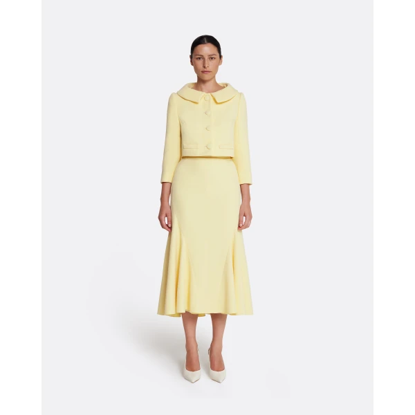 Safiyaa Marialuisa Skirt in Pale Yellow, view 2