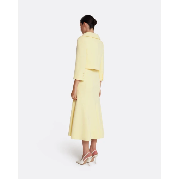 Safiyaa Marialuisa Skirt in Pale Yellow, view 3