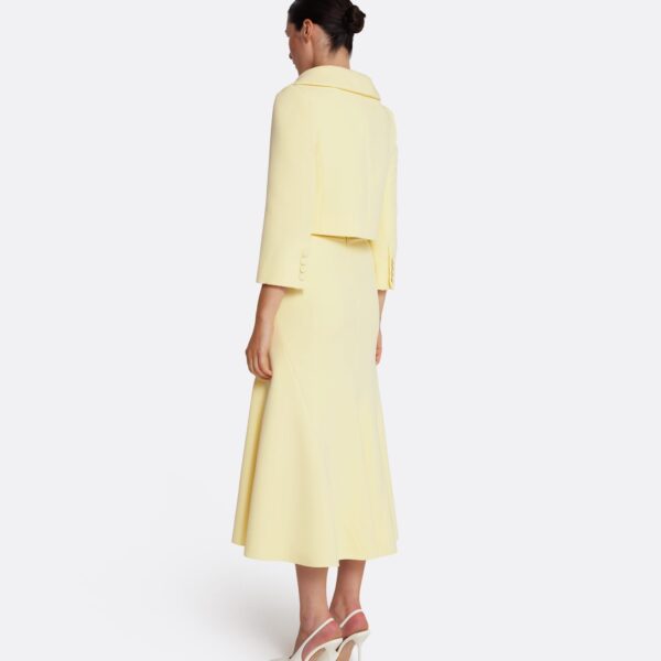 Safiyaa Marialuisa Skirt in Pale Yellow - Safiyaa Skirts - Heavy Crepe Cape Gown - Shop at Coveti