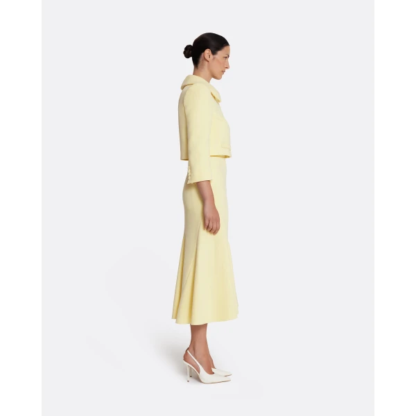 Safiyaa Marialuisa Skirt in Pale Yellow, view 5
