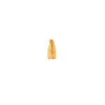 Schiaparelli Finger Phalanx Ring