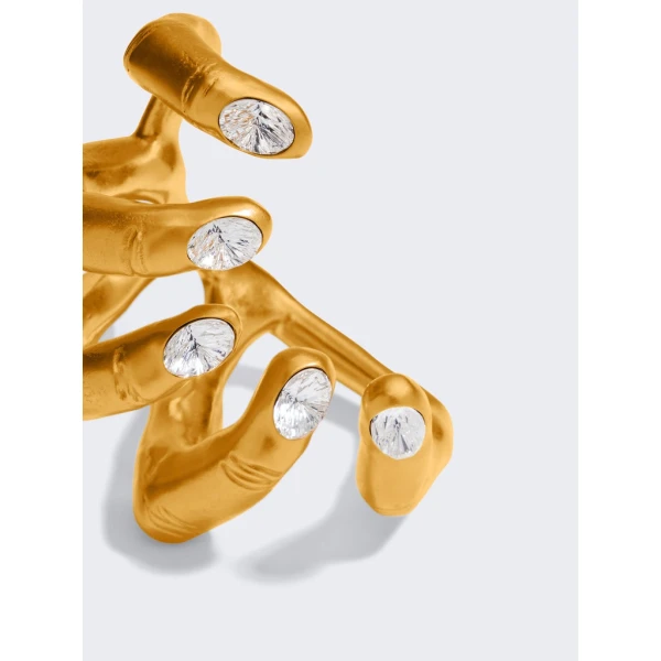 Schiaparelli Rings