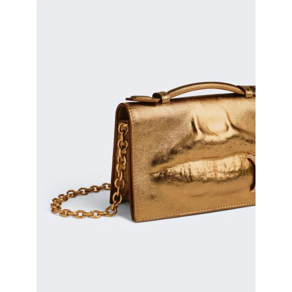 Schiaparelli nose bag