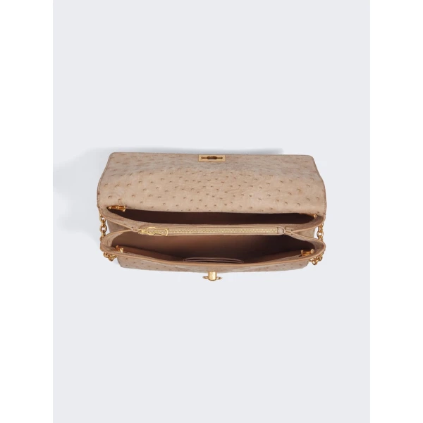 Schiaparelli nose bag