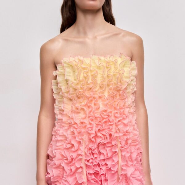 Delphie Frill Midi Dress