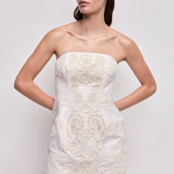 Perilla Embroidered Mini Dress