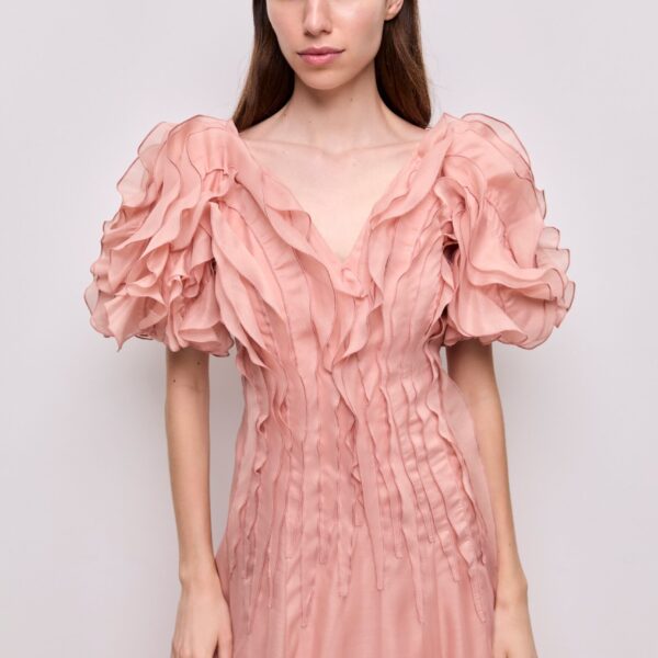 Seraphina Midi Dress