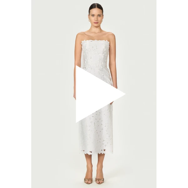 Costarellos Dresses - Romantic Greek Lace - Shop at Coveti