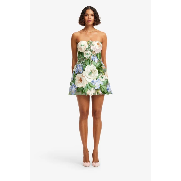Leo Lin Roselle Floral Hand-Embroidered Bustier Mini Dress - Leo Lin Dress - Australian Luxury Fashion - Shop at Coveti