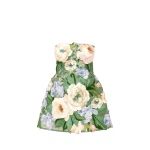 Leo Lin Roselle Floral Hand-Embroidered Bustier Mini Dress - Leo Lin Dress - Australian Luxury Fashion - Shop at Coveti