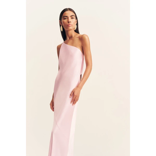 Shona Joy Pink Dresses
