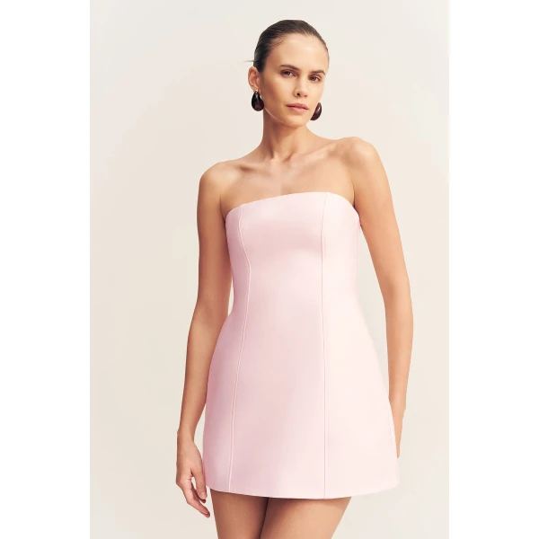 Shona Joy Pink Dresses