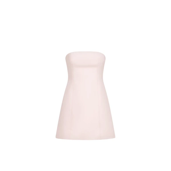 Shona Joy Pink Dresses