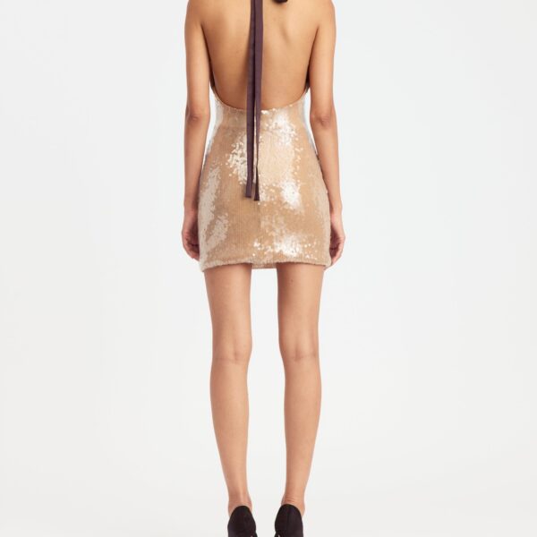 Elevate your elegance in this 16Arlington Dresses from the luxury feather dress edit