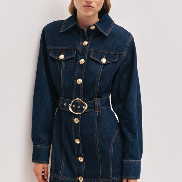 Elodi Denim Mini Dress