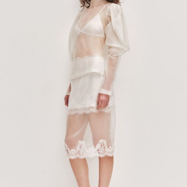 Mirella Organza Long Sleeve Top