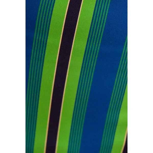 Alemais Margo High Waist Brief  Sustainable Beachwear with Alemais print - Coveti Australian Designer