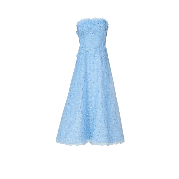 Anessa Embroidered Organza Stapless Midi Dress