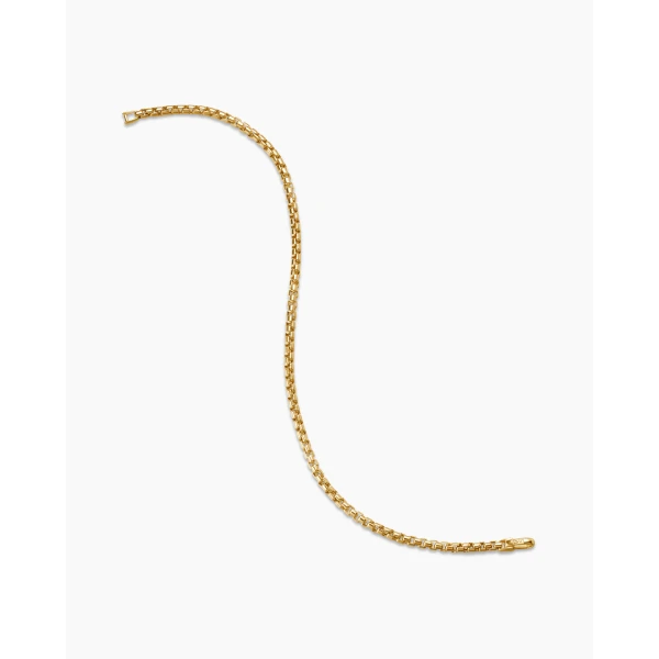 David Yurman DY Bel Aire Box Chain Bracelet in 18K Yellow Gold, 2.7mm, view 4
