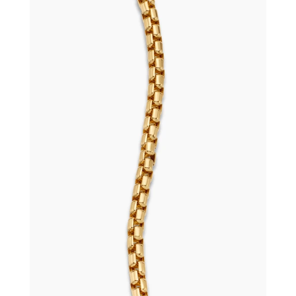 David Yurman DY Bel Aire Box Chain Bracelet in 18K Yellow Gold, 2.7mm, view 6