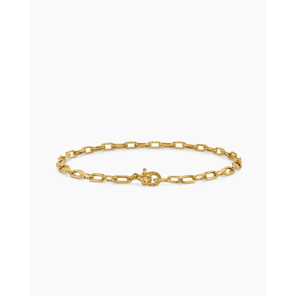 David Yurman DY Madison® Chain Bracelet in 18K Yellow Gold, 3mm, view 5