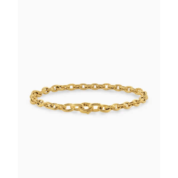 David Yurman DY Mercer® Petite Chain Bracelet in 18K Yellow Gold, 4.5mm, view 5