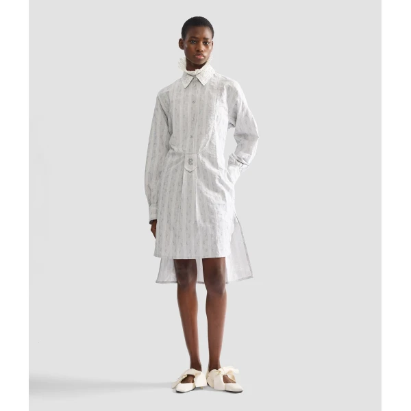 Erdem Ditsy Cotton Stripe Long Sleeve Mini Shirt Dress - Dresses - British Romantic Luxury at Coveti