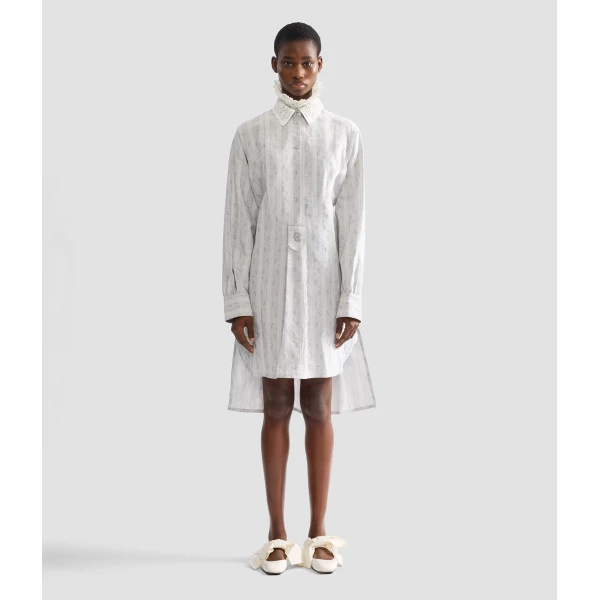 Erdem Ditsy Cotton Stripe Long Sleeve Mini Shirt Dress - Dresses - British Romantic Luxury at Coveti