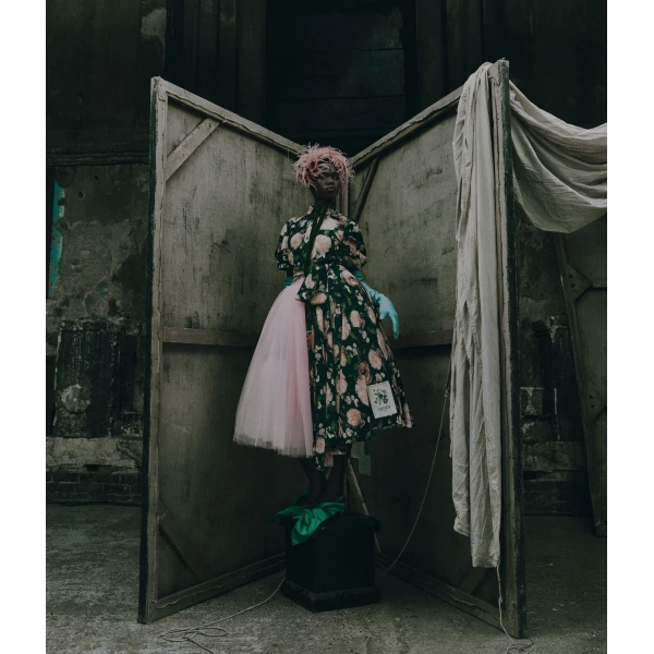 Erdem Floral Print Short Sleeve Midi Dress - Dresses - British Romantic Luxury at Coveti
