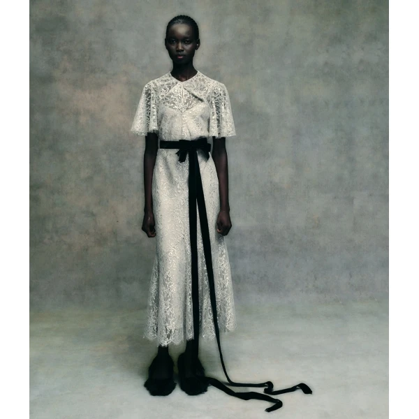 Erdem Metallic Lace Midi Dress - Dresses - British Romantic Luxury at Coveti