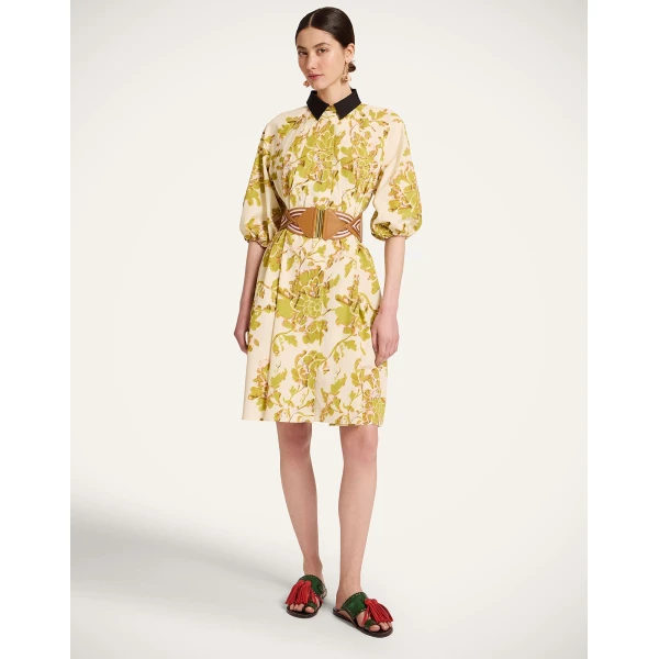 La DoubleJ Sunburst Dress Oasis Green in Cotton Poplin - Dresses - Milanese Maximalist Fashion at Coveti