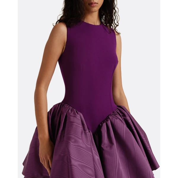 Safiyaa Camille Mini Dress In Currant, view 5